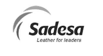LOGO SADESA